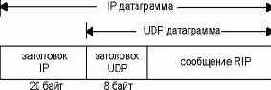  RIP   UDP .