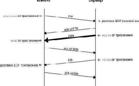 TCP   .
